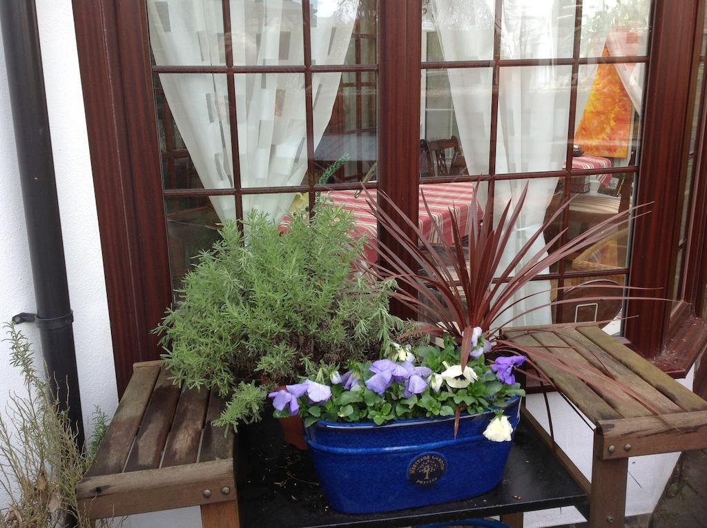 The Laurels Bed And Breakfast Cardiff Ngoại thất bức ảnh